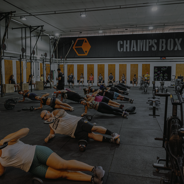 crossfithome4